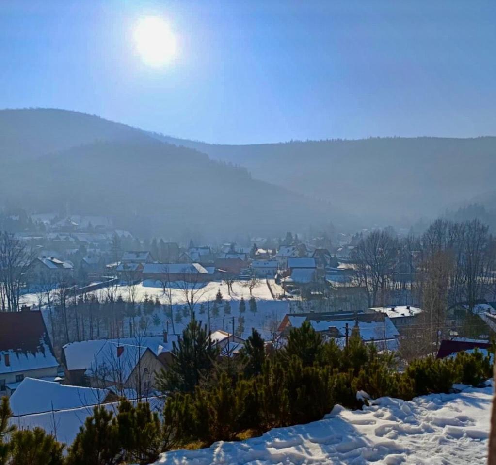 Hoya Hoya Villa Międzybrodzie Bialskie Buitenkant foto
